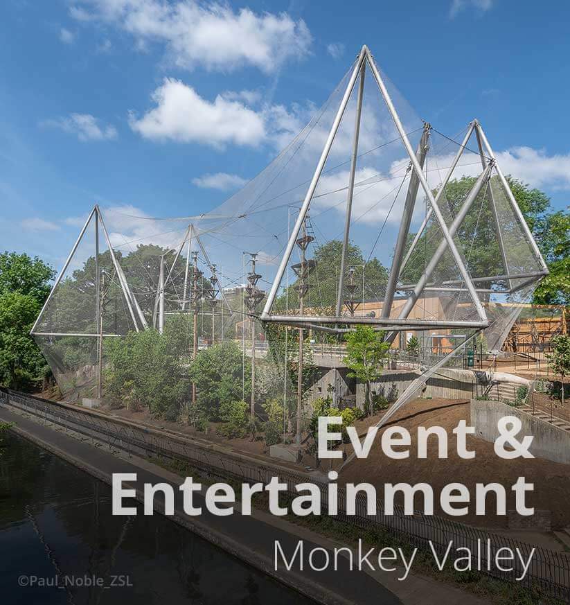 Project tile of Monkey Valley
